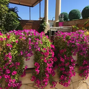 With Private Patio Lejlighed